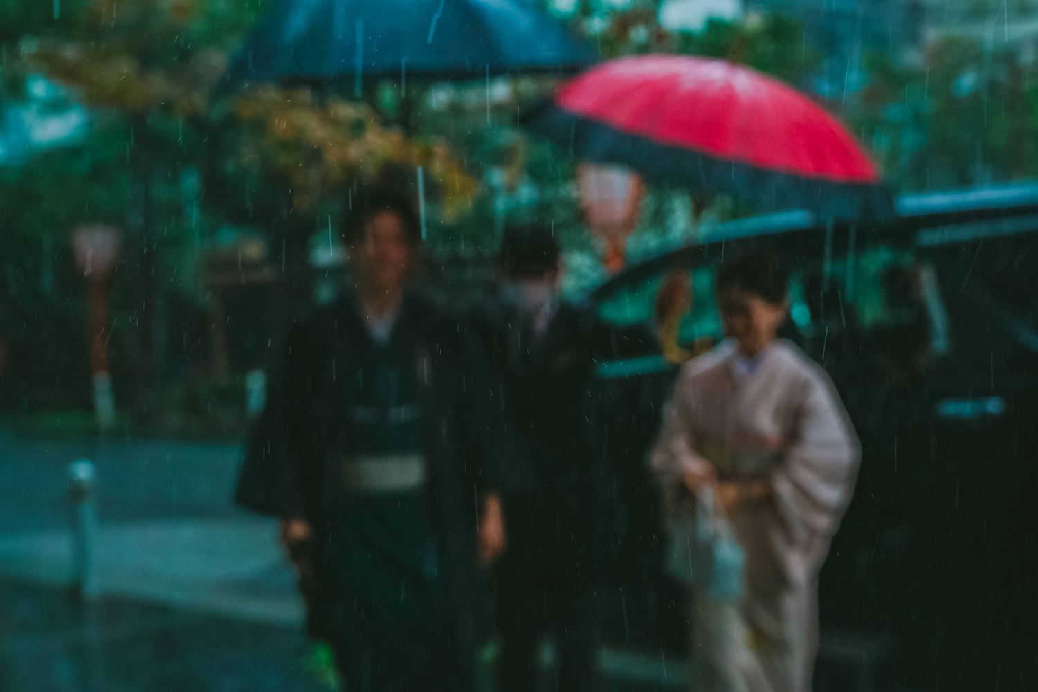 雨の緑のなかを赤い和傘で歩く着物姿のカップル
